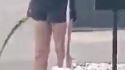 Geelong Dog Walker Seen with Large Serrated Blade in St Albans Park