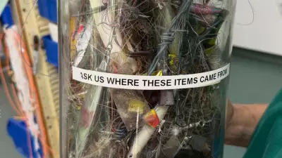 Glass Jar of Horror: Wildlife Hospital's Stark Warning on Fishing Gear Threat