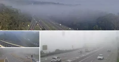 Hunter Region Wakes to Dense Fog Blanket as Temperatures Set to Climb