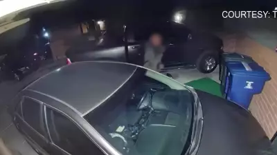 Investigadores realizan nuevas búsquedas en caso de desaparición de Nancy Guthrie tras video clave