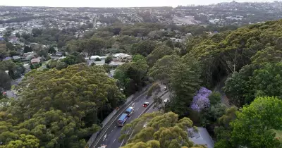 New Safety Resources for Trucks Descending Mount Ousley Announced