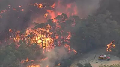 Police Seek Public Help in Boya Bushfire Arson Investigation After 30 Hectares Scorched