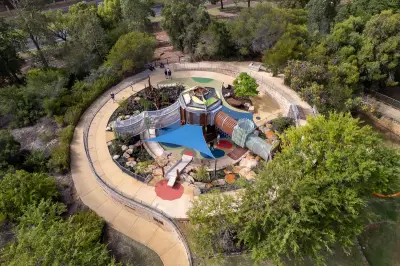 Redback Spider Infestation Found in Piney Lakes Playground Equipment