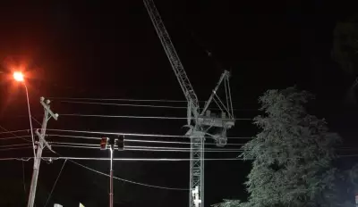 Teen's Skyline Photo Mission Sparks Dramatic Crane Rescue in Ivanhoe