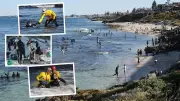 Abalone Season Chaos: 22 Fishers Rescued in One Hour as Lifesavers Battle Perth Beaches