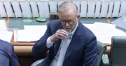 Albanese's Position on Australian Women in Syria Faces Scrutiny