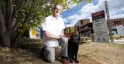 Black Labrador Lachie Provides Comfort to Patients at Canberra Hospital