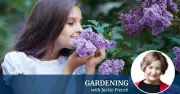 Boost Your Brain with Garden Scents: A Natural Memory Enhancer
