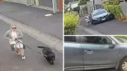 CCTV Captures Dog Walker Vandalising Teen's Parked Car in Newtown