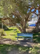 City of Melville Bans New Public Memorials in Parks and Foreshore Areas