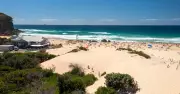 Council's Plan to Halt Redhead Beach Sand Dune Criticised as 'Reactive'