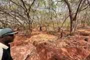 Dalaroo Metals Expands West African Gold Holdings with Bondoukou Acquisition