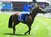 Derby Winner Observer Returns with a Bang, Signals Group 1 Threat