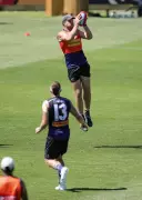 Fremantle Dockers' Sean Darcy's Training Return Sparks Excitement for AFL Season