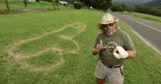 Jamberoo Builder Turns Offensive Lawn Graffiti into Creative Competition