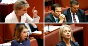 Liberal Party Moves to Expel Nationals from Senate Committees Amid Coalition Split