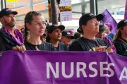 Liberals Criticise Children's Hospital Wait Times Amid Midwife Strike