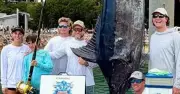 Port Stephens Angler Reels in 319kg Blue Marlin in Fishing Shootout