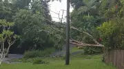Power Pole Collapse Leaves Hundreds of Kuranda Homes Without Electricity