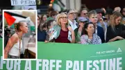 Pro-Palestine Protests' Timing Criticized as Benefiting Hanson's Narrative