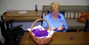 Queensland Grandmother Knits Purple Poppies to Honour War Animals