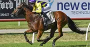 Randwick Saturday Racing Preview: Expert Tips and Analysis for Every Race