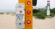 Shark Bite Kits Deployed at Illawarra Beaches Following Summer Attacks