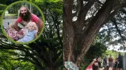 Star-Studded Campaign to Save Cairns' Giant Freshwater Rain Tree Heads to Court