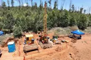 Viridis Appoints Rare Earths Veteran Ross Forzatti to Lead Brazilian Colossus Project