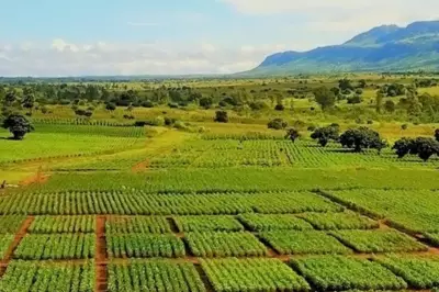 Aguia Resources Launches Brazilian-Made Fertilizer at Major Farm Expo