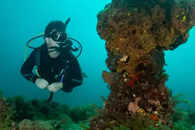 Algal Bloom Crisis Wastes Millions in Taxpayer Funds, New Report Exposes