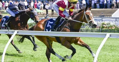 Audrey's Lane Eyes Provincial-Midway Qualifier After Strong Comeback Run