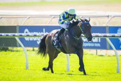 Aurum Belle Dominates Supremacy Stakes, Now Karrakatta Plate Favourite