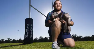 Brumbies Star Rhys Van Nek's Surprising Passion for Wombats Revealed