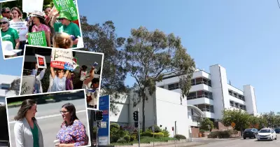 Calvary Mater Hospital Inquiry Probes Mould and Maggot Allegations