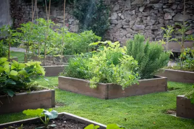 Charlie Albone's Guide to Thriving Gardens in Small, Sandy Spaces