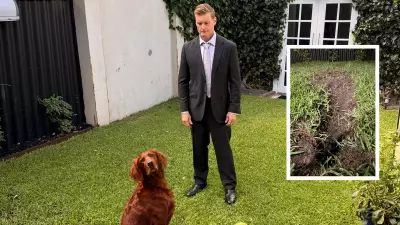 Clancy's Paws for Effect: Digging into China's Influence in Australia