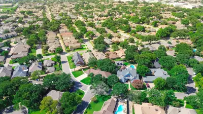 Cockburn Council Unveils New Street Tree Policy to Boost Canopy and Protect 65,000 Trees