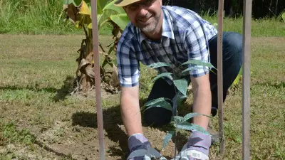 Cocoa Shortage Opens Doors for Far North Queensland Farmers