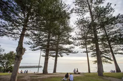 Cottesloe's Iconic Norfolk Pines to Be Phased Out in New Sustainable Street Plan