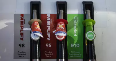 E10 Fuel Explained: Is It Bad for Your Car and Can It Save You Money?