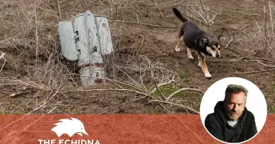 Echidna Rescuers Save Pets from Global War Zones Amid Conflict
