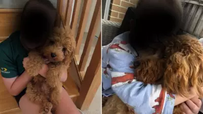 Family's Beloved Dog Dies After Ingesting Popular Nylon Chew Toy