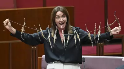 Greens Senator Displays Dead Seahorses in Senate, Demands Santos Accountability for Algae Bloom