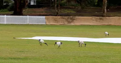 Illawarra Cricket to Review T20 Rules Following Wests' Championship Victory