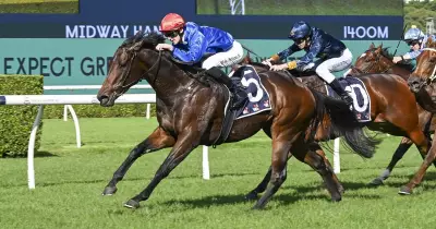 John Thompson's Flying Embers Targets Warwick Farm Return on Wet Track