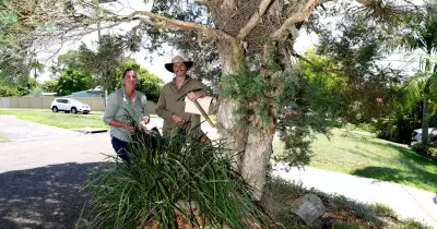 Lake Macquarie's Free Plant Verge Garden Policy Praised by Anna Noon