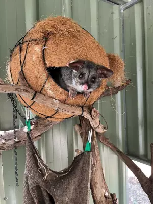 Lotterywest Grants Boost Wildlife Care in Mandurah with New Equipment