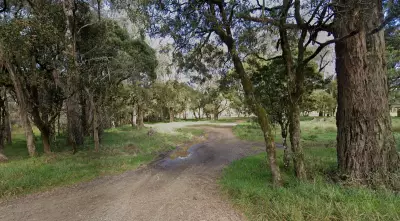 Man Charged with Murder After Axe Attack at NSW Campground