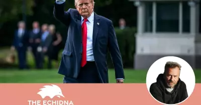 Market Surge Preceded Trump's Decision to Postpone Iran Strikes